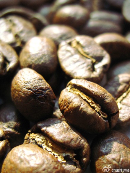 精品咖啡豆分级标准 云南咖啡豆特二级标准