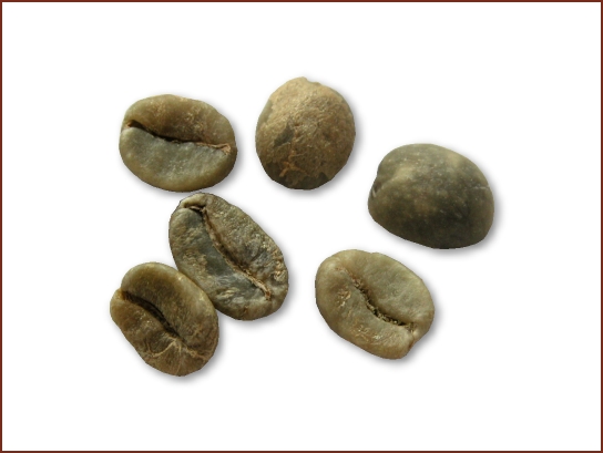 精品咖啡豆种类 哥斯达黎加咖啡豆图片