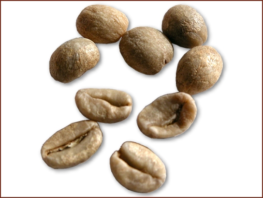 精品咖啡豆种类 爪哇小粒咖啡豆图片