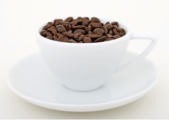 猫屎咖啡 最贵咖啡杯测简述