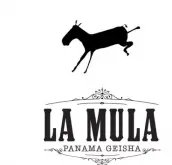 巴拿马骡子庄园介绍La Mula2023
年最佳巴拿马BOP日晒骡子瑰夏