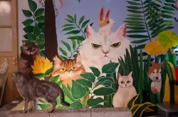 猫咪经济疯狂！“猫福彩3d字谜图迷总汇九
”的历史与空间文化 如何开一间“猫咖”