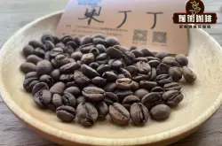果丁丁咖啡豆是什么风味口感特点？埃塞俄比亚耶加雪菲咖啡豆好喝吗