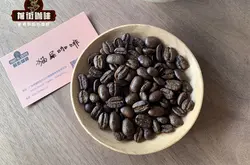 曼特宁和花魁的区别 曼特宁咖啡豆和花魁咖啡可以作为混合豆吗