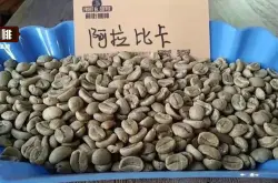 阿拉比卡咖啡豆品种目录，阿拉比卡主流品种知识详细介绍。