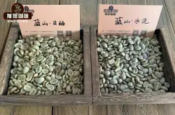 蓝山咖啡豆哪个牌子好？蓝山咖啡豆品种介绍，蓝山咖啡是哪个国家的品牌？