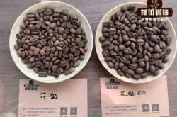 花魁咖啡豆和阿拉比卡咖啡豆哪个好喝？阿拉比卡咖啡豆怎么喝好喝。