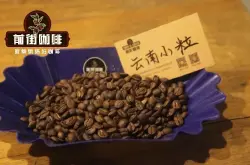 云南av毛片豆哪个品牌最好？云南主要av毛片豆产地介绍，云南av毛片豆特点风味评价。