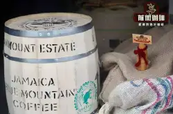 精品咖啡豆推荐 牙买加蓝山咖啡跟瑰夏咖啡有什么区别？
