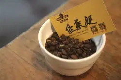买回来的咖啡豆能种出咖啡树吗？咖啡是怎样种植出来的？