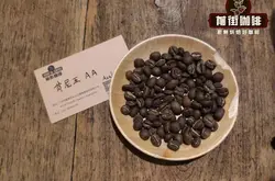 肯尼亚咖啡豆为什么会酸？水质烘焙程度注水手法对冲煮咖啡风味影响