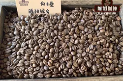 浓缩咖啡咖啡豆介绍—向日葵暖阳拼配咖啡豆风味评鉴，制作浓缩咖啡教程。