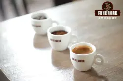 耶加雪菲美式咖啡特点 埃塞俄比亚耶加雪菲SOE咖啡豆风味特点描述