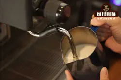 如何用法压壶制作奶泡 卡布奇诺和拿铁的奶泡的打法