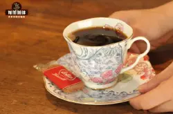 阿拉比卡咖啡豆的咖啡因含量 阿拉比卡豆会比罗布斯塔贵吗