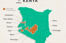 肯尼亚AA|肯尼亚咖啡产区风味分级标准 肯尼亚咖啡k72水洗处理法介绍