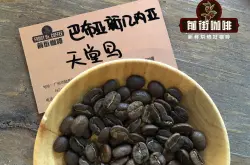 巴布亚新几内亚手冲咖啡豆品种推荐  巴布亚天堂鸟咖啡豆制作手冲教程