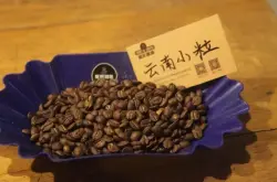 云南咖啡豆哪个最好属于什么品种咖啡豆？云南咖啡豆和越南咖啡豆特点风味评价？