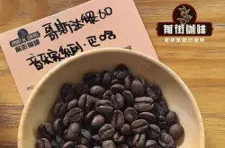 音乐家系列咖啡豆巴哈是哪里产的？葡萄干蜜处理咖啡豆是什么特点有哪些？