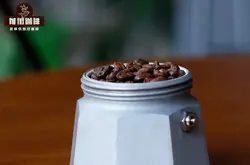 摩卡壶咖啡粉碗必须填满吗 摩卡咖啡和美式咖啡的区别