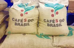 巴西咖啡产区介绍红波旁咖啡豆风味口感特点 巴西咖啡冲煮参数手法