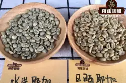 什么是耶加雪菲咖啡豆适合什么人喝 水洗耶加雪菲咖啡口感特点