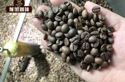 巴西咖啡豆中度烘培与深度烘培风味口感区别 深烘焙咖啡豆推荐