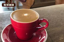 瑞幸精萃澳瑞白和澳白的区别 为什么澳白咖啡只能做热的原因