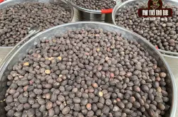 肯尼亚精品咖啡豆的优势 水洗处理法也有日晒法的特别风味特征