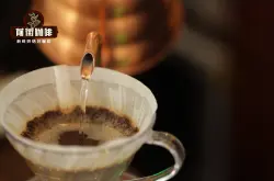 哥斯达黎加塔拉珠咖啡豆风味口感特点 葡萄干蜜处理莫扎特咖啡豆介绍