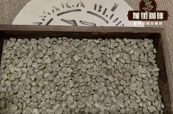 什么是正宗蓝山咖啡怎么识别 蓝山精品咖啡豆产国品牌介绍