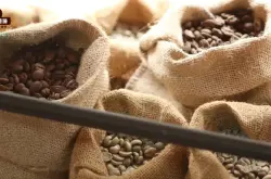 咖啡豆等级AA、g1、SHB生豆分级方法介绍 埃塞肯尼亚咖啡分级
