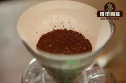 手冲咖啡花魁咖啡豆研磨度水温比例正确参数推荐多少合适
