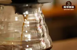 手冲咖啡粉水比例水温参数 滴滤式咖啡粉液比多少好喝？