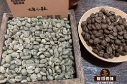 云南咖啡种植自然条件 云南咖啡普洱产区咖啡品种特点