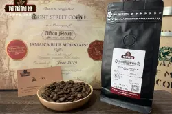 蓝山咖啡属于什么档次？蓝山咖啡豆是什么品种？历史故事出口标准