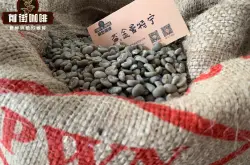 pawani黄金曼特宁的咖啡风味口感及特点 印尼曼特宁咖啡豆产地品种介绍