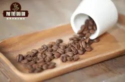 阿拉比卡咖啡豆的品种种类有哪些？阿拉比卡咖啡豆的衍生种类和风味口感特点？