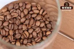 瑞幸星巴克耶加雪菲咖啡多少钱 耶加雪菲咖啡豆排名风味介绍