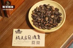 巴拿马极光庄园铁人瑰夏咖啡豆风味口感特点故事来源信息介绍等级