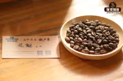西达摩花魁咖啡豆风味口感特点及产地信息 花魁与耶加雪菲区别