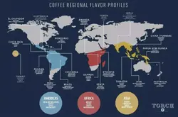 世界咖啡豆主要产区主要分布在哪里|咖啡豆产区咖啡带分布图介绍