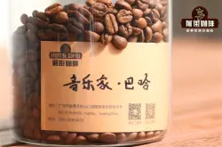 蜜处理咖啡豆有哪些风味口感特征？蜜处理咖啡豆适合煮什么咖啡？