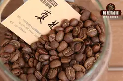 哥斯达黎加莫扎特咖啡豆的风味描述介绍 莫扎特咖啡的冲泡水温比例