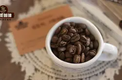 瑰夏咖啡豆特点介绍 瑰夏咖啡豆比较浅烘焙度会有什么风味表现？