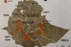 埃塞俄比亚耶加雪菲咖啡豆产区介绍 耶加雪菲咖啡分级制度