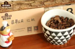 瑰夏咖啡品种为什么这么贵介绍 巴拿马瑰夏咖啡豆等级品质口感特点描述
