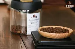手冲咖啡冲泡方案怎么制定 面对陌生的咖啡豆时该怎么冲煮