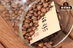 贝多芬咖啡豆品种产地处理法 哥斯达黎加咖啡豆风味特点评价