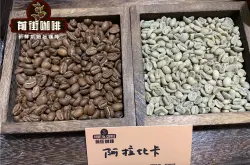 阿拉比卡种风味特征解释 阿拉比卡是什么品种|阿拉比卡咖啡豆的特点是什么